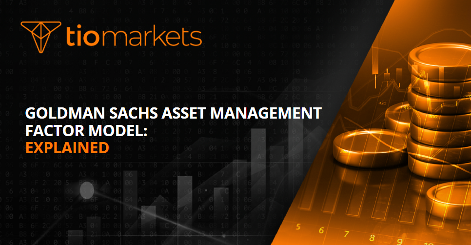 Goldman Sachs asset management factor model: Explained