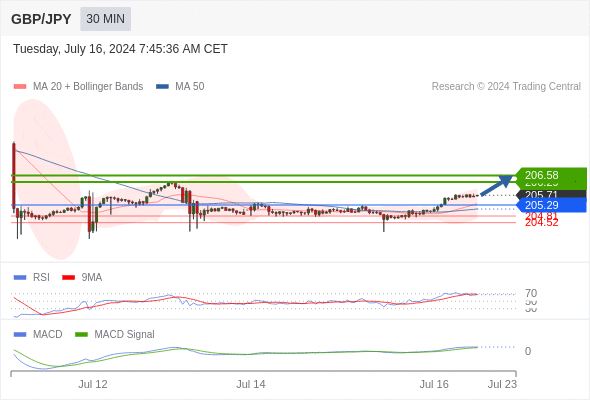  تداول يومي: الارتفاع مرجح طالما أن 205.29 هو مستوى الدعم.