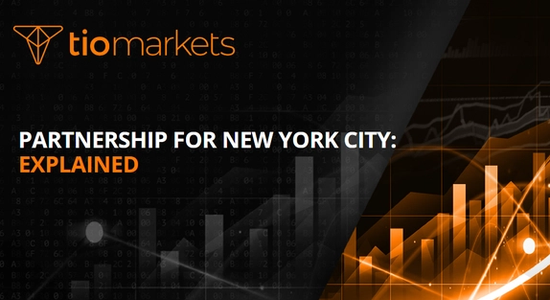 partnership-for-new-york-city-guide