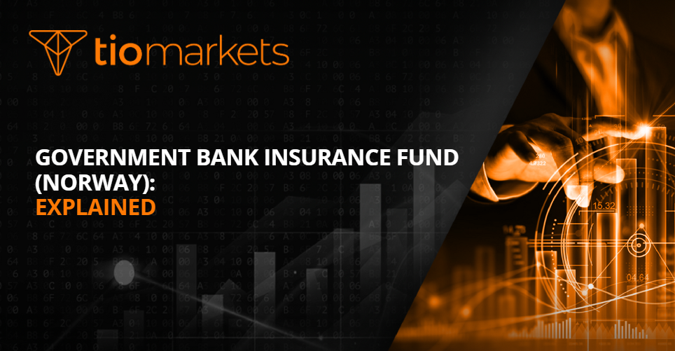 Government Bank Insurance Fund (Norway): Explained