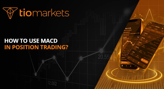 macd-guide-in-position-trading