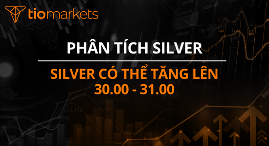 silver-co-the-tang-len-30-00-31-00