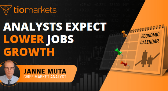 analysts-expect-lower-jobs-growth