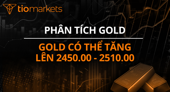 gold-co-the-tang-len-2450-00-2510-00