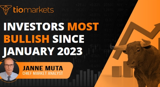 investors-most-bullish-since-january-2023