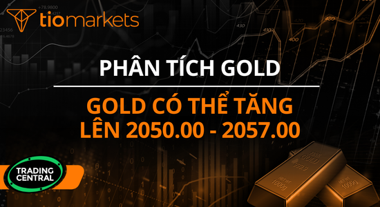 gold-co-the-tang-len-2050-00-2057-00