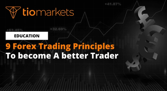 forex-trading-principles-to-become-a-better-trader