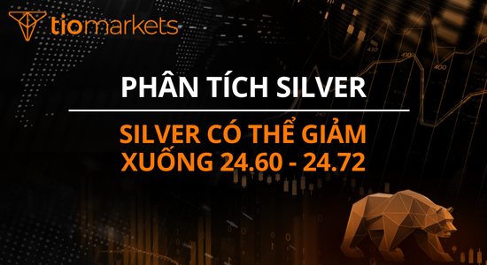 silver-co-the-giam-xuong-24-60-24-72